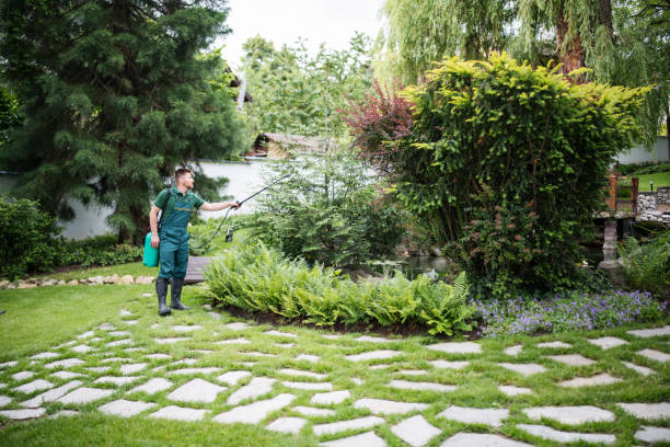 Best Lawn Renovation and Restoration  in Yarrow Point, WA